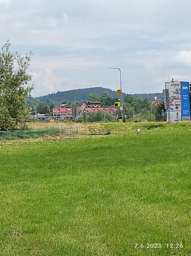 a field of green grass with a street light at Apartmán u Vrbů in Černá v Pošumaví
