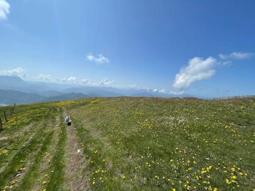 a person on a dirt road in a field of flowers at Studio au pied du Vercors in Saint-Jean-en-Royans