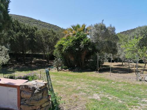 Φυσικό τοπίο κοντά σε αυτός ο ξενώνας