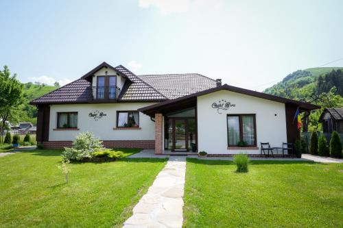 a house with a green lawn in front of it at Chalet Bora in Vişeu de Jos