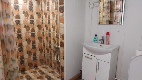 Vannituba majutusasutuses Sevan - Tsovazard Beach House