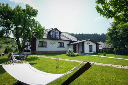 a house with a skateboard in front of a yard at Chalet Bora in Vişeu de Jos