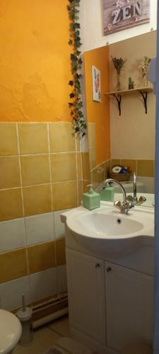une salle de bain avec un lavabo et des toilettes dans l'établissement petite maison dans la campagne a 10 mn a pied du centre ville, à Arles