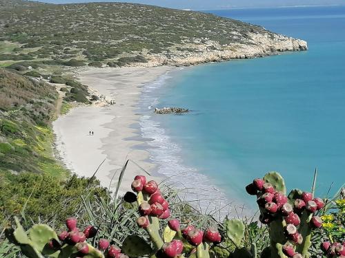 Φυσικό τοπίο κοντά σε αυτός ο ξενώνας