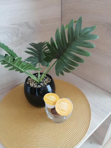 a table with a hat and a potted plant on it at Willa Epiona in Stepnica