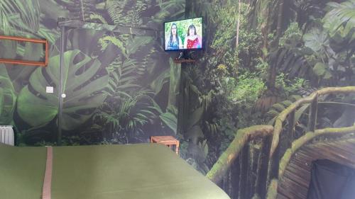 TV a/nebo společenská místnost v ubytování Le Donjon des Combes et son Spa