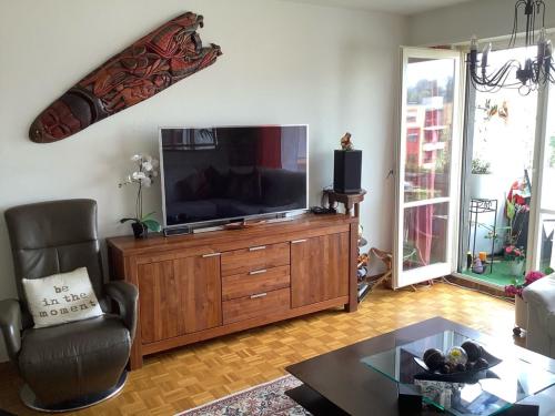 uma sala de estar com uma televisão de ecrã plano num centro de entretenimento em madeira em L. Oyubo em Basileia