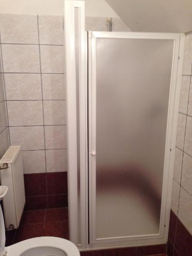 a shower stall in a bathroom with a toilet at Mol-Ker-Vill Apartment in Lenti