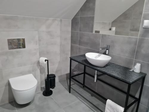 a bathroom with a sink and a toilet at Hotel Savana in Kłaj