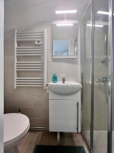 une salle de bain avec toilettes, lavabo et douche dans l'établissement Casa Cloutiers #1, #2 & #3 - Jolis Studios - Emplacement Idéal Hyper Centre Brive, à Brive-la-Gaillarde