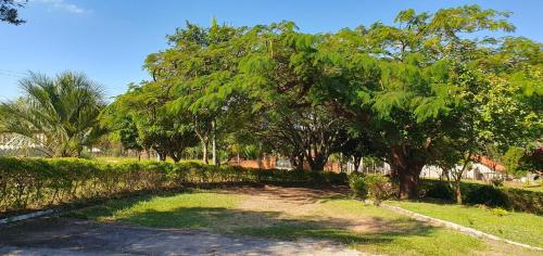 a park with trees and a dirt road at Pousada das Estrelas in São Pedro