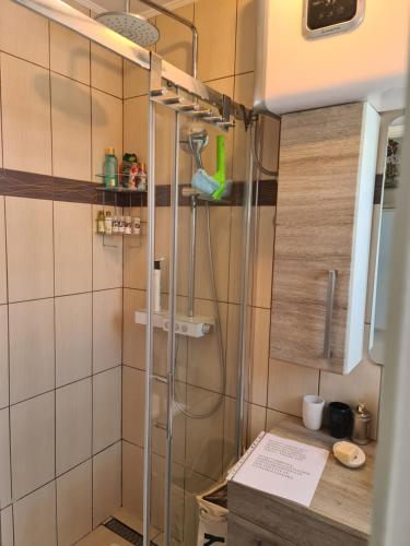 Apartment Nera
