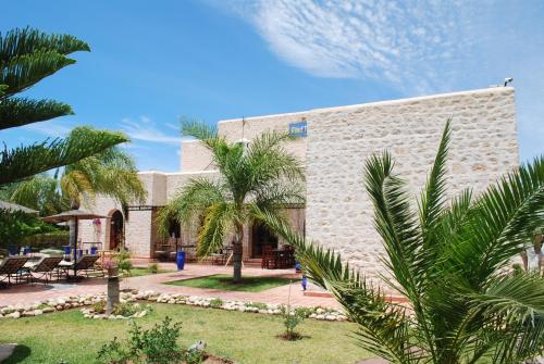 索維拉的住宿－Riad Titima Essaouira，一座棕榈树建筑