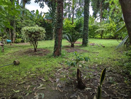 Gallery image of Arusha Holiday Safari in Arusha