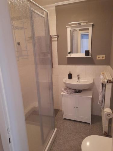 a bathroom with a shower and a sink at Ferienwohnung Pickel in Kottenheim