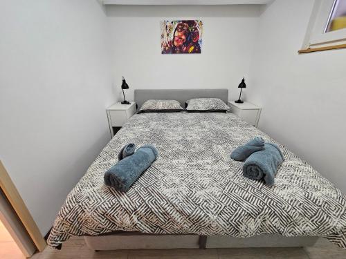 Apartman Carnevalus