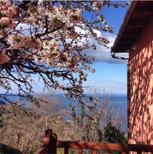 Paesaggio naturale nelle vicinanze del bed & breakfast