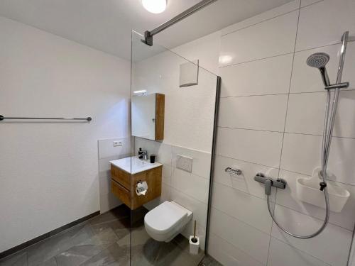 a bathroom with a shower and a toilet and a sink at GrenzApartments in Bietingen
