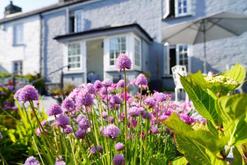 un jardín con flores púrpuras frente a una casa en Luxury holiday cottage by the harbour in St Mawes, en Saint Mawes