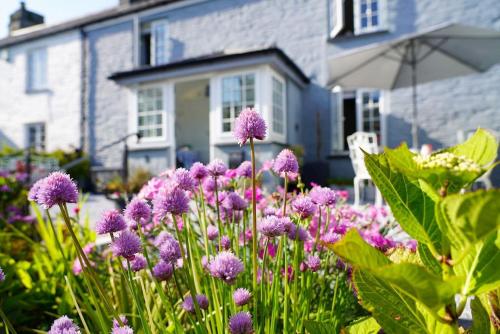 einen Garten mit lila Blumen vor einem Haus in der Unterkunft Luxury holiday cottage by the harbour in St Mawes in Saint Mawes