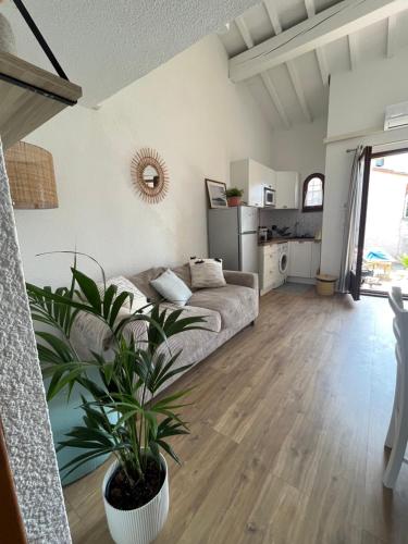 un salon avec un canapé et une plante en pot dans l'établissement Maison climatisatée 2 chambres extérieur barbecue parking gratuit 600m mer, à Saint Cyprien Plage