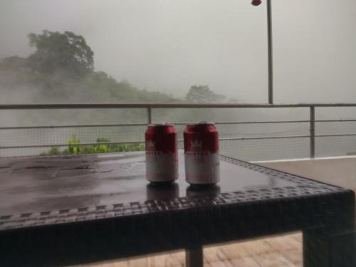 two cups sitting on a bench in the rain at Hostal Alto de la Montaña in Minca