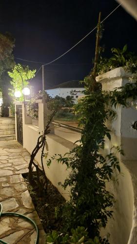 a plant is growing next to a wall at night at Sun Ray Sivota 2 in Sivota