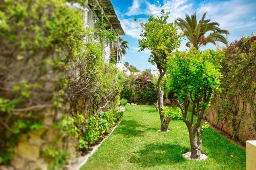 a garden with two trees and a wall at Signature Agadir Villa Luxe for 4 or 6 PX in Agadir
