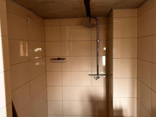 a shower with a glass door in a bathroom at Grosse-Schwalbe in Kabelhorst
