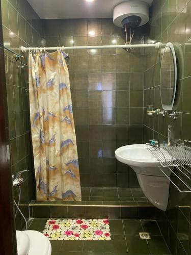 uma casa de banho com um lavatório, um WC e um chuveiro em Surf Hotel em Baku