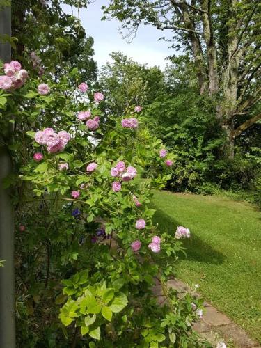 Photo de la galerie de l'établissement Gite classé quatre étoiles dans les dépendances du chateau de Manau, à Beaumont-de-Lomagne