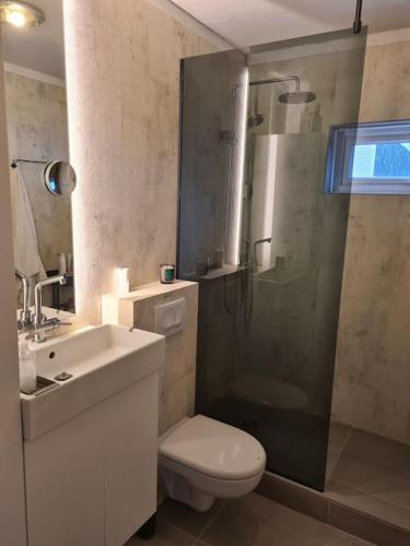un bagno con doccia, WC e lavandino di Charming apartment a Reykjavik