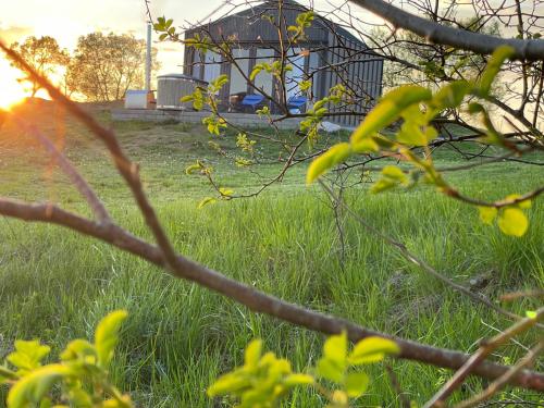 a field of grass with a gazebo in the background at GLAMP GLAMOUR***** in Kowale Oleckie