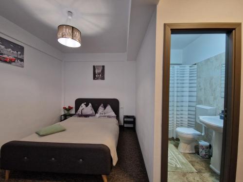 a bedroom with a bed and a sink and a toilet at Renate House in Băile Herculane