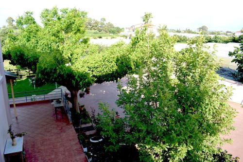 a view of trees and water from a balcony at Κτήμα Κωνσταντινίδη in Preveza