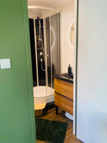 une salle de bain avec une douche, un lavabo et une baignoire dans l'établissement 