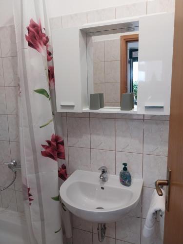 y baño con lavabo y espejo. en Sobe Kraft 2, en Živogošće