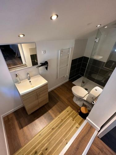 une salle de bain avec toilettes, lavabo et miroir dans l'établissement L'Echoppe en ville, à Amboise