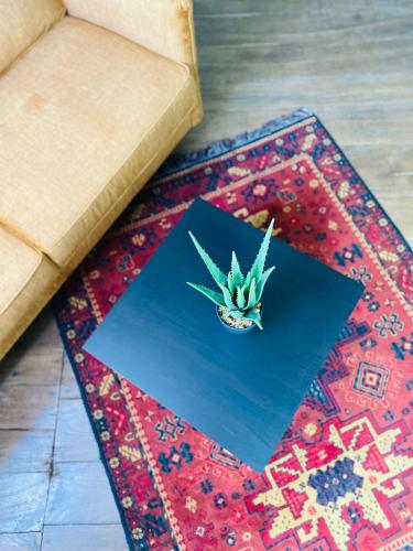 une suiva auuanauuanauanauanauanauanauanauanauuanauuanauuanauuananauanauana dans l'établissement 