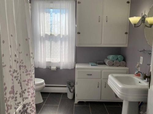 a bathroom with a sink and a toilet and a window at Spacious & Peaceful Home in the heart of Sheboygan in Sheboygan