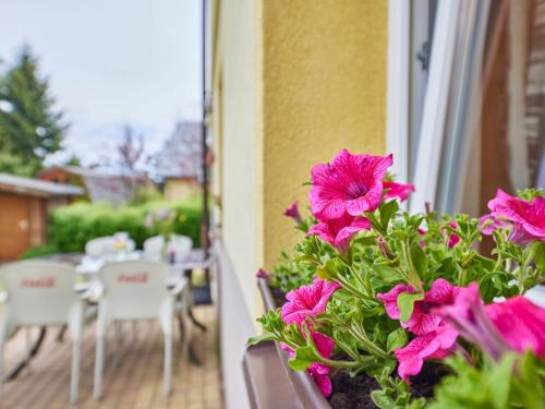 a balcony with pink flowers and a table and chairs at Studio U Šustrů by Interhome in Horní Maršov