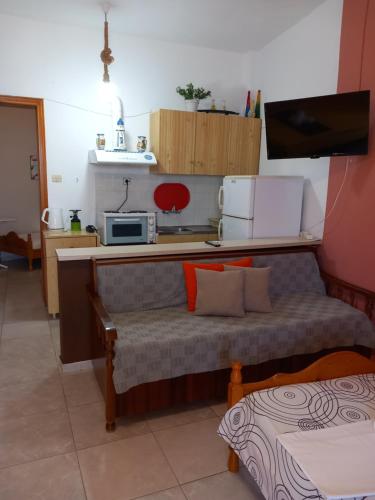 a living room with a couch and a microwave at AGATHA appartments PALIOURIA in Kókkinon Nerón