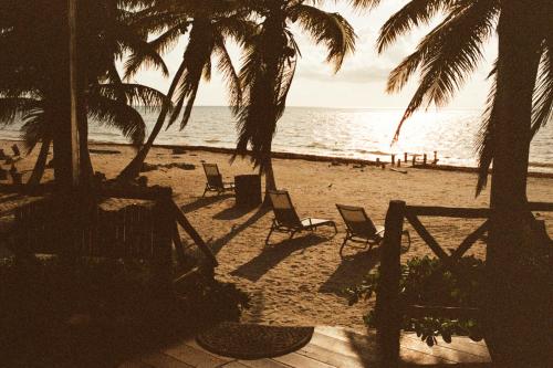 a beach with chairs and palm trees and the ocean at Grand Slam Fishing Lodge Tulum in Punta Allen