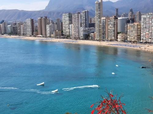 Природа в окрестностях апартаментов/квартиры