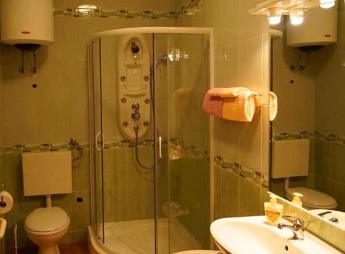 a bathroom with a shower and a toilet and a sink at Central Sibenik Apartments in Šibenik