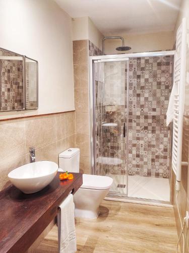 a bathroom with a shower and a toilet and a sink at Casa Rural A Ritmo De Burro in Robledondo