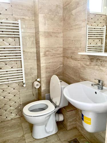 a bathroom with a toilet and a sink at Pensiunea ALAS in Baile Felix