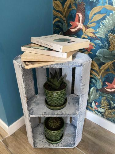 a white shelf with books and potted plants on it at Casa Vacanze Nene in Minturno