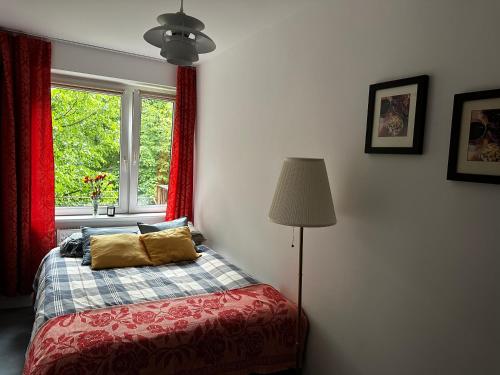 um quarto com uma cama e uma janela em Nowy Apartament Lipowa em Hajnówka