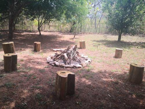 a pile of logs in the middle of a field with trees at Casa Dulce Nombre in La Garita